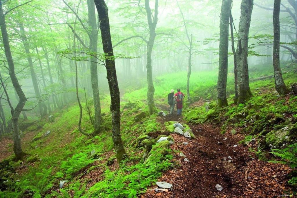 Los Molinos - Atico En Montana De Asturias Felechosa Luaran gambar
