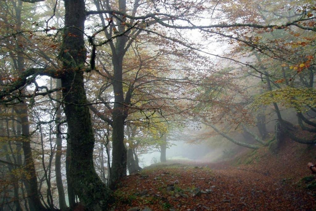 Los Molinos - Atico En Montana De Asturias Felechosa Luaran gambar
