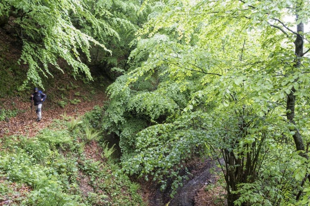 Los Molinos - Atico En Montana De Asturias Felechosa Luaran gambar